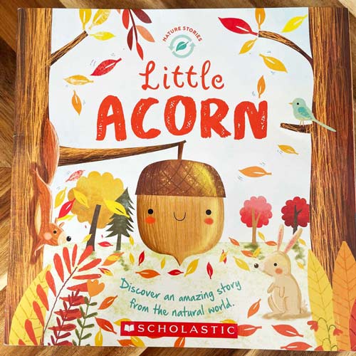 『LITTLE ACORN』:: 文学の参照 :: referencia